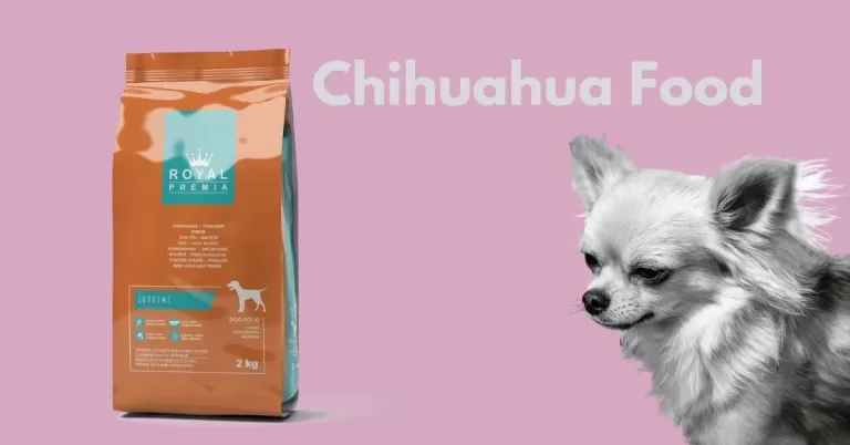 Chihuahua Dog Food and Puppy Food