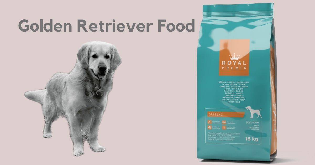 Golden Retrievers Dog Food in Dubai, Sharjah, UAE