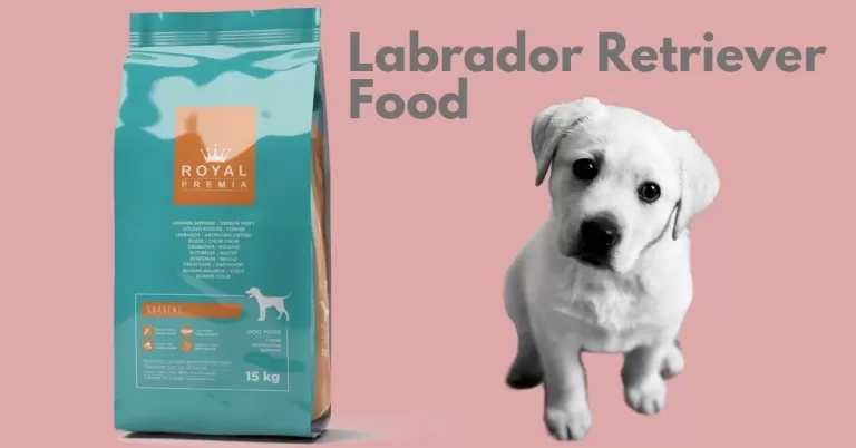 Labrador Retriever Dog Food