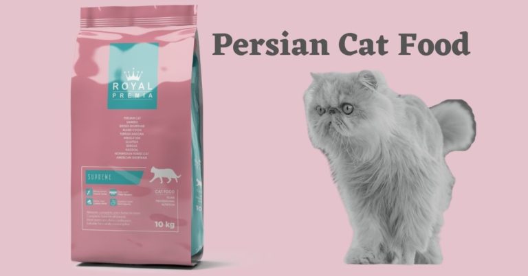 Persian Cat Food in Dubai, Sharjah, UAE