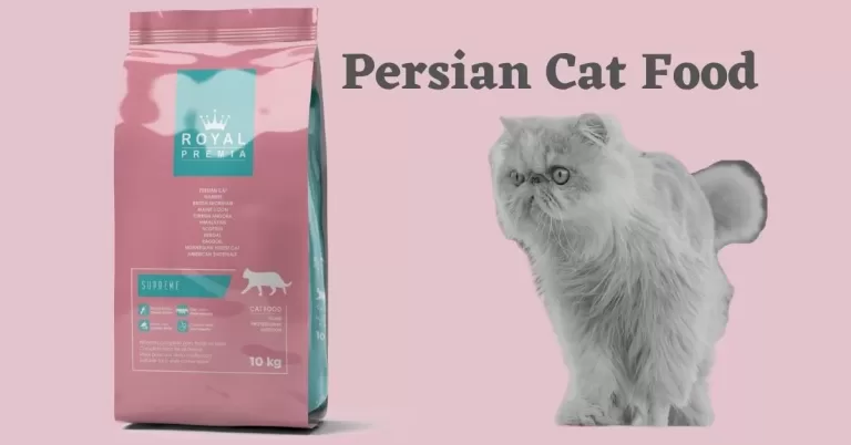 Persian Cat Food