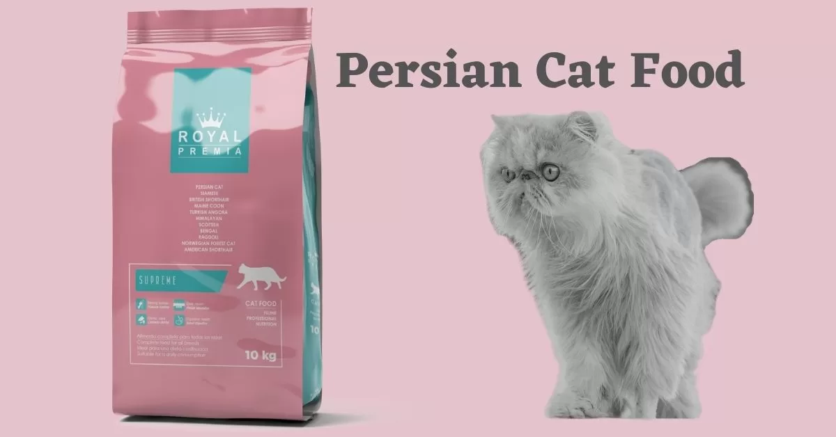 Persian Cat Food