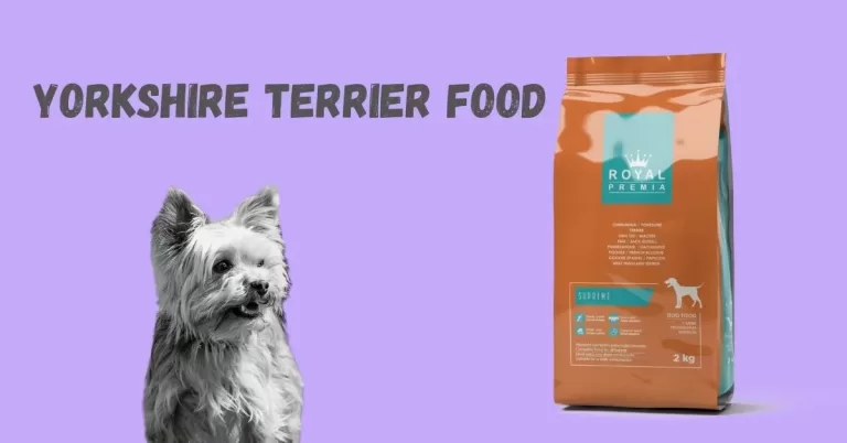 Yorkshire Terrier dog food