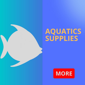 Aquatic Supplies Shop in Sharjah