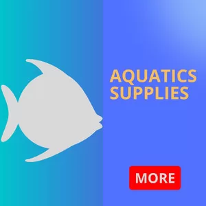 Aquatic Supplies Shop in Sharjah, UAE