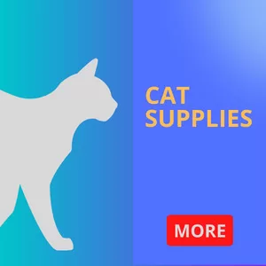 Cat Supplies Shop in Sharjah, UAE