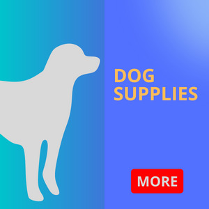 Dog Supplies Shop in Dubai, Sharjah, Abu Dhabi, and UAE