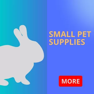 Small Pet Supplies Shop in Sharjah, UAE