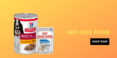 wet dog and puppy food