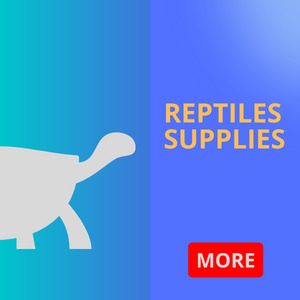 Reptiles Supplies Shop in Sharjah
