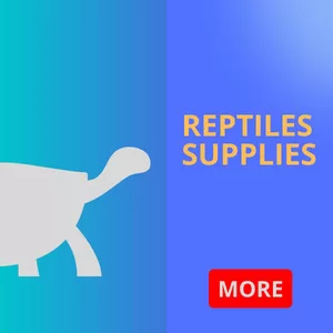 Reptiles Supplies Shop in Sharjah, UAE