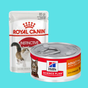 Wet Cat Food in Sharjah
